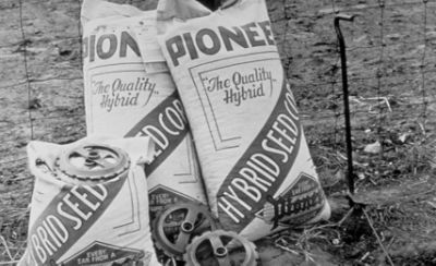 linea del tiempo imagenes 2023 Pioneer México